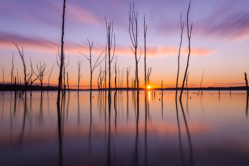 A beautiful lake at sunrise in New Jersey.