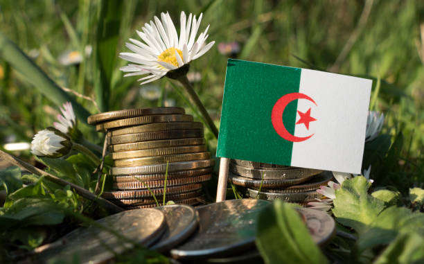 istock Algerian flag with stack of money coins with grass and flowers 659653928