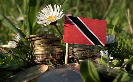 Trinidad and Tobago flag with stack of money coins with grass and flowers