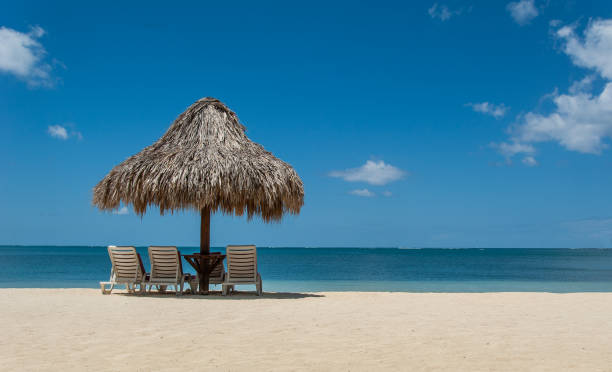 istock Palm Umbrella and Lounge Chairs on White Sand Beach 659661240