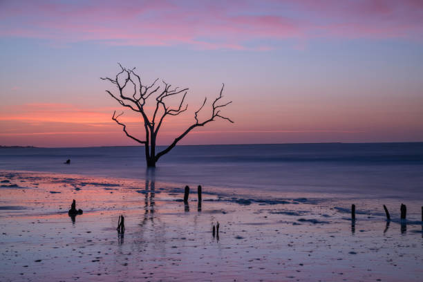 istock Sunrise at Botany Bay Plantation Beach 659661250