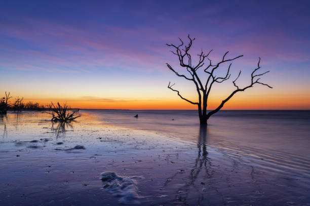 istock Sunrise at Botany Bay Plantation Beach 659661270