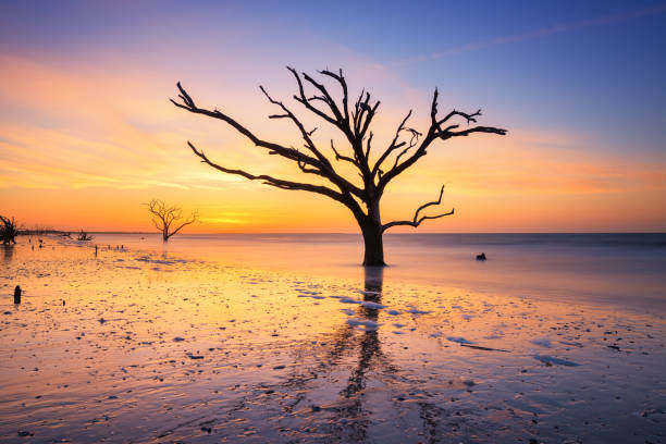 istock Sunrise at botany bay beach 659661460