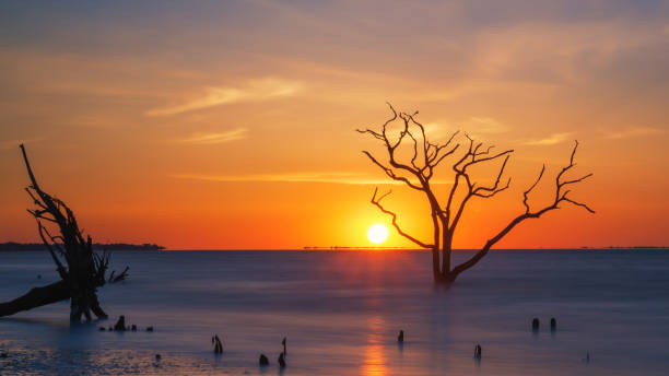 istock Sunrise at botany bay beach 659661566