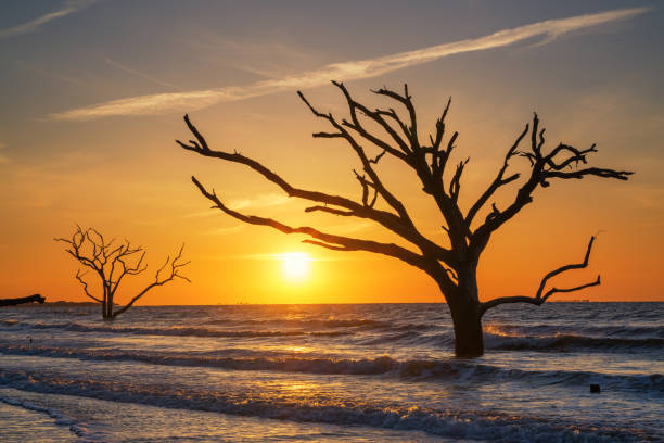 istock Sunrise at botany bay beach 659661572