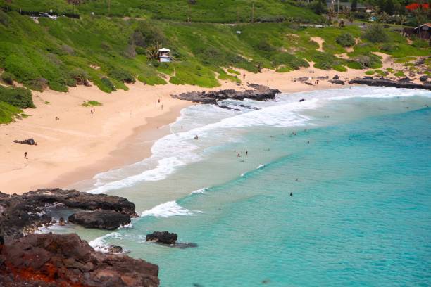 istock Makapu’u point lookout, Oahu, Hawaii 659666866