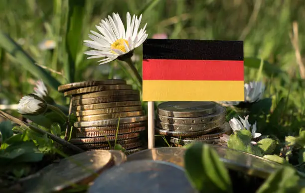 German flag with stack of money coins with grass and flowers
