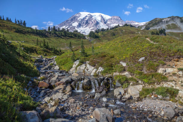 istock Mount Rainier, stream and alpine meadows from the Skyline Trail 659687866