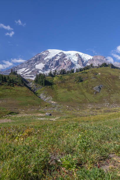 istock Mount Rainier and alpine meadows from the Skyline Trail 659689744