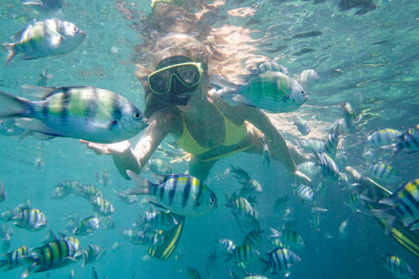 istock Woman snorkeling with colorful fish 659703738