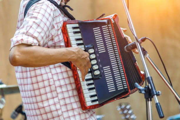 istock Close up musicians are playing accordion on stage 659717040