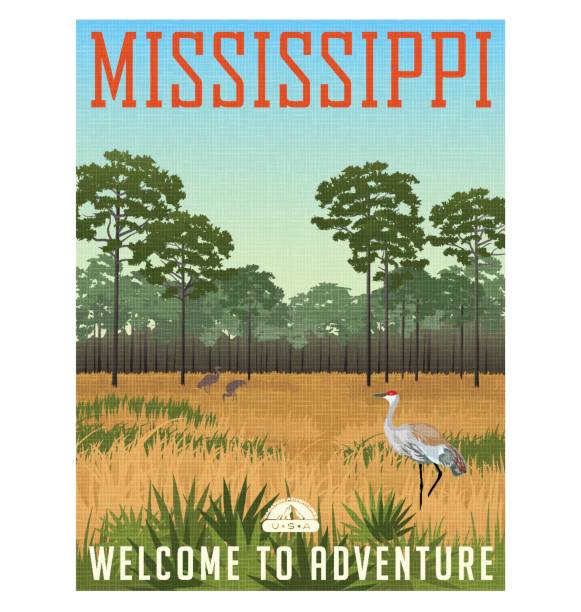 ilustrações, clipart, desenhos animados e ícones de cartaz de viagens do estado de mississippi ou adesivo. preservar a ilustração vetorial de grous e pinheiros na natureza do pantanal - sandhill crane