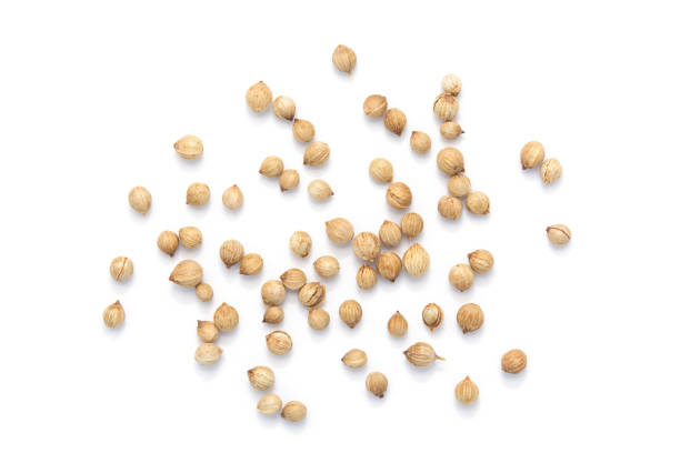 coriander seeds on white background - coriander seed fotos imagens e fotografias de stock