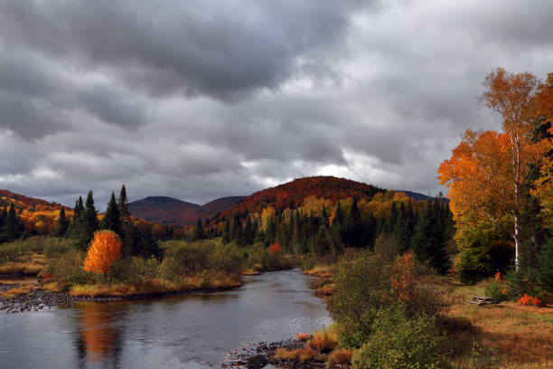 istock Colorful autumn landscape 659772752