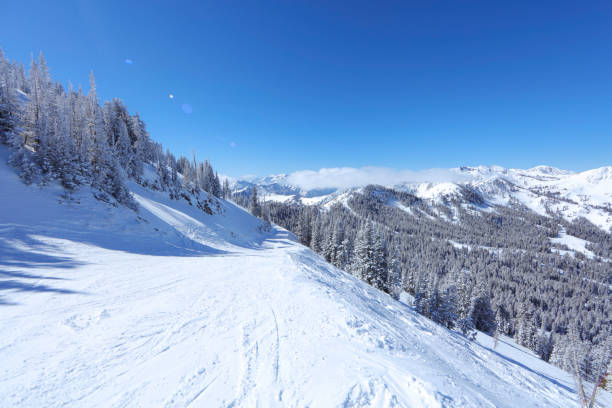 istock Top of snowy mountain at ski resort 659772894