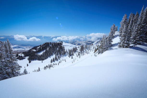 istock Top of snowy mountain at ski resort 659773020