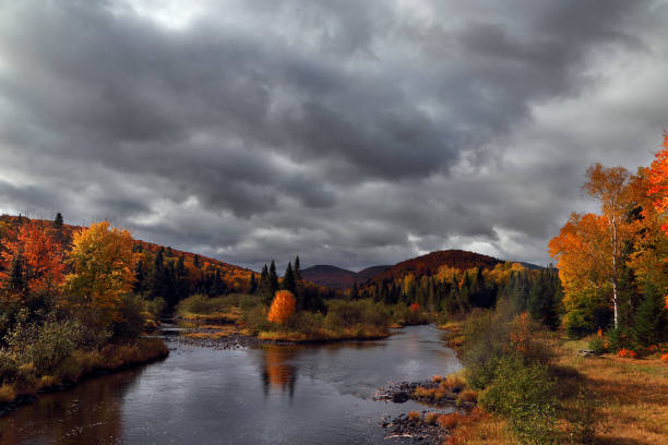 istock Colorful autumn landscape 659773120