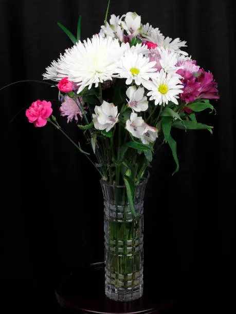 Black curtain behind a tall cut glass vase of colorful flowers and leaves. White, pink and violet flowers in a vase close-up in front of a black curtain.