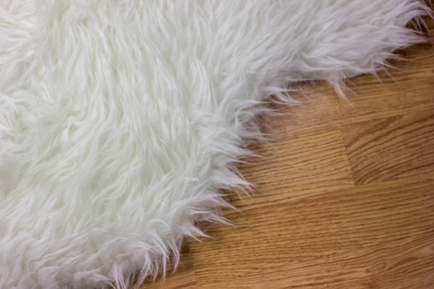 istock Faux Fur rug on wood 659801866
