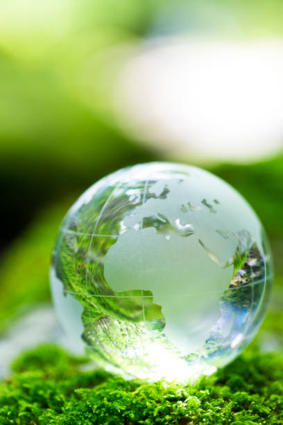 istock Globe on Mossy Rock in the Forest 659810634