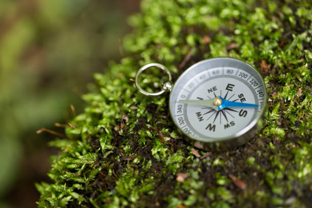 istock Compass on Mossy Rock in the Forest 659810642