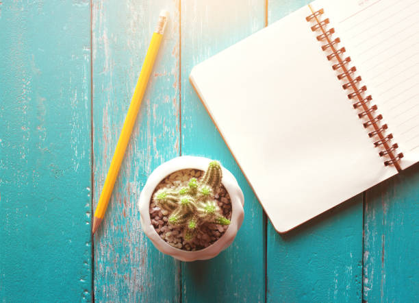 istock Notebook, pencil and cactus on ocean blue wood table. 659822164
