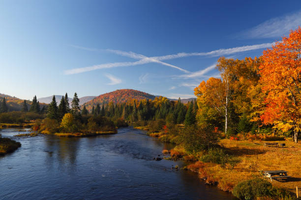 istock Colorful autumn landscape 659830892
