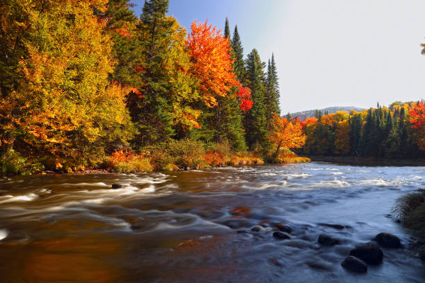 A beautiful view at a stop along a hiking train in a Provincial Park.