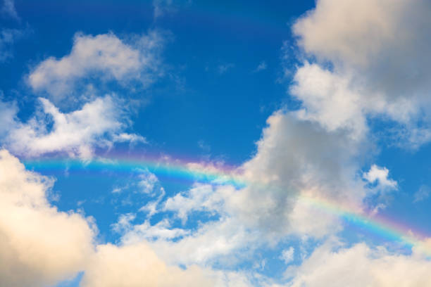 istock Beautiful rainbow in the sky 659868086