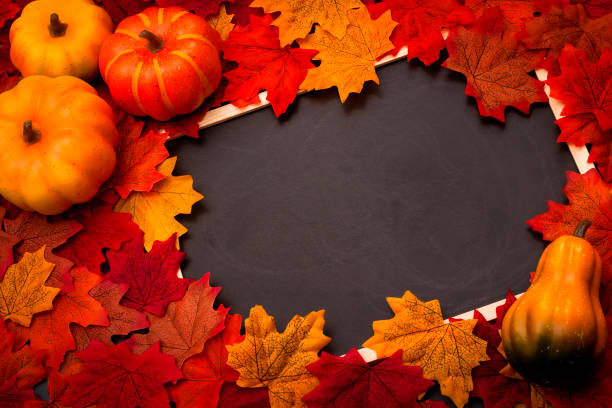 istock Autumn harvest and Happy Halloween sign with copyspace 659886672