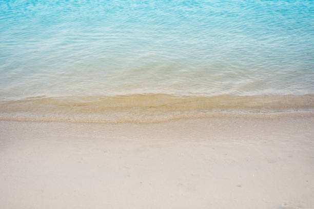 istock Clear blue water and gentle in the tropical beach 659898018