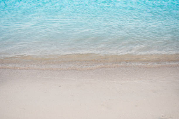 istock Clear blue water and gentle in the tropical beach 659898180