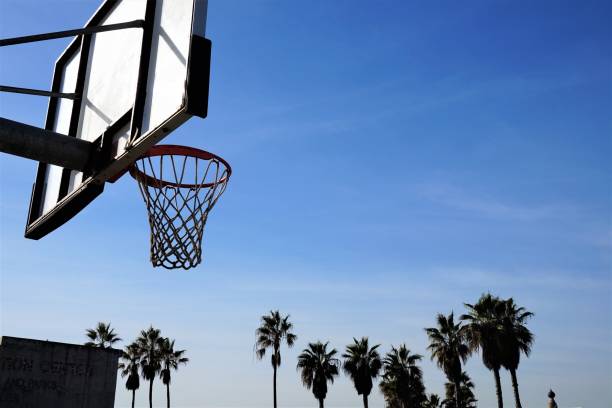 istock Venice Beach - California USA 659899504