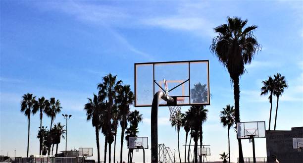 istock Venice Beach - California USA 659899870