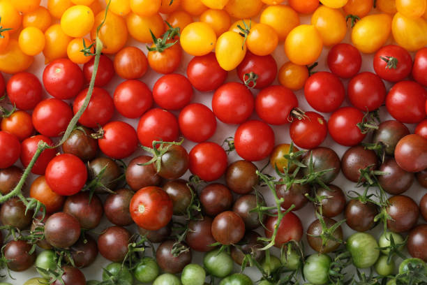 istock Raw and ripe fresh cherry tomatoes, food background 659906648
