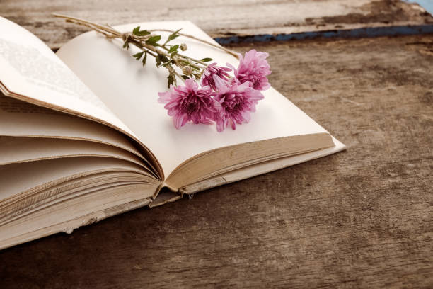 istock Vintage novel books 659916024