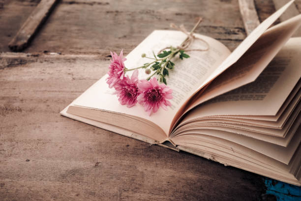 istock Vintage novel books 659927926