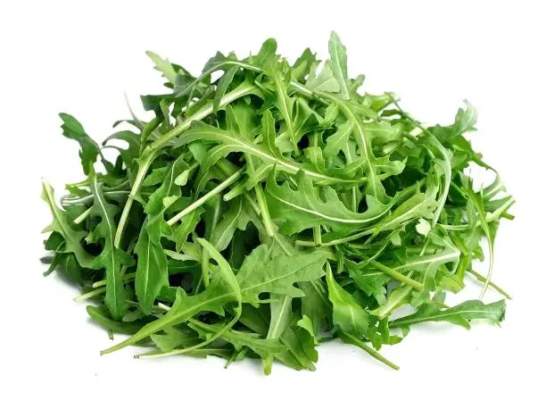 Arugula salad isolated white close up