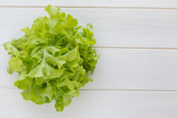 istock Green oak lettuce fresh on white wood table. (lettuce) 659939082