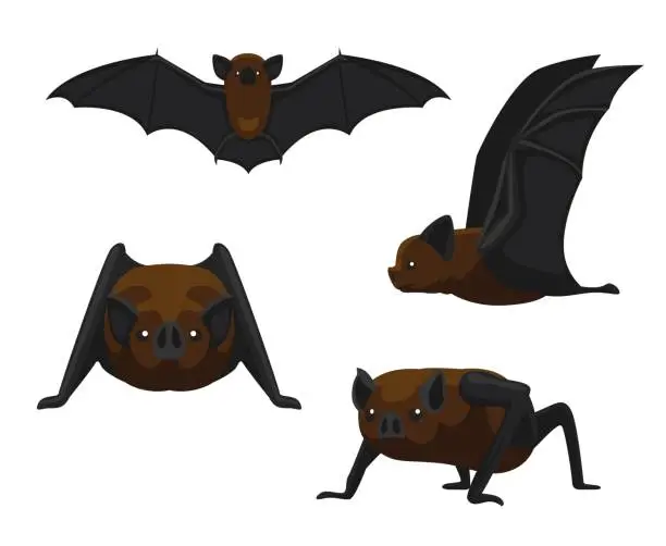 Vector illustration of Cute Vampire Bat Cartoon Vector Illustration