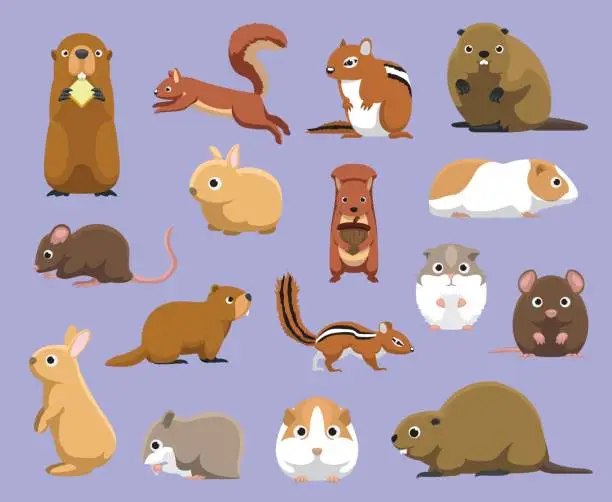 Vector illustration of Various Rodents Cartoon Vector Illustration