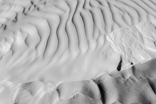 istock Black and White desert color. Background and Texture 659973740