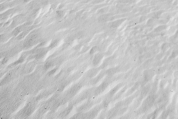 istock Black and White desert color. Background and Texture 659974766
