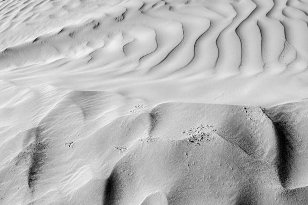 istock Black and White desert color. Background and Texture 659990034