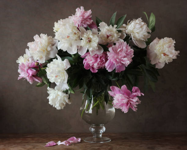 istock a bouquet of white and pink peonies 659995220