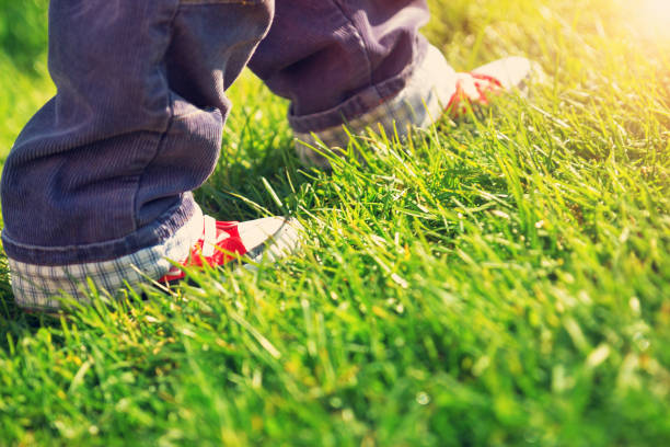 istock Little child walking in beautiful spring day 659996322