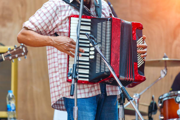 istock Close up musicians are playing accordion on stage 660006552
