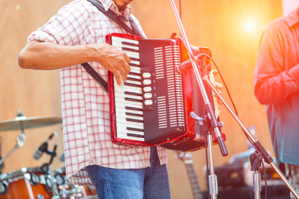 istock Close up musicians are playing accordion on stage 660006566