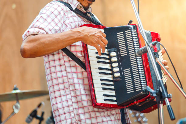 istock Close up musicians are playing accordion on stage 660006574