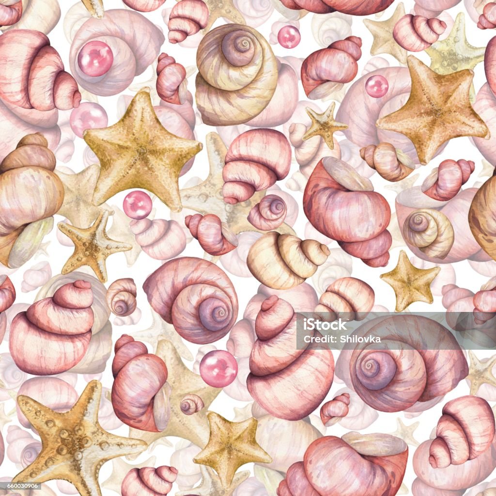 Shell Marine Pattern Marine Pattern 2 Stock Illustration - Download Image Now - Animal Shell ...
